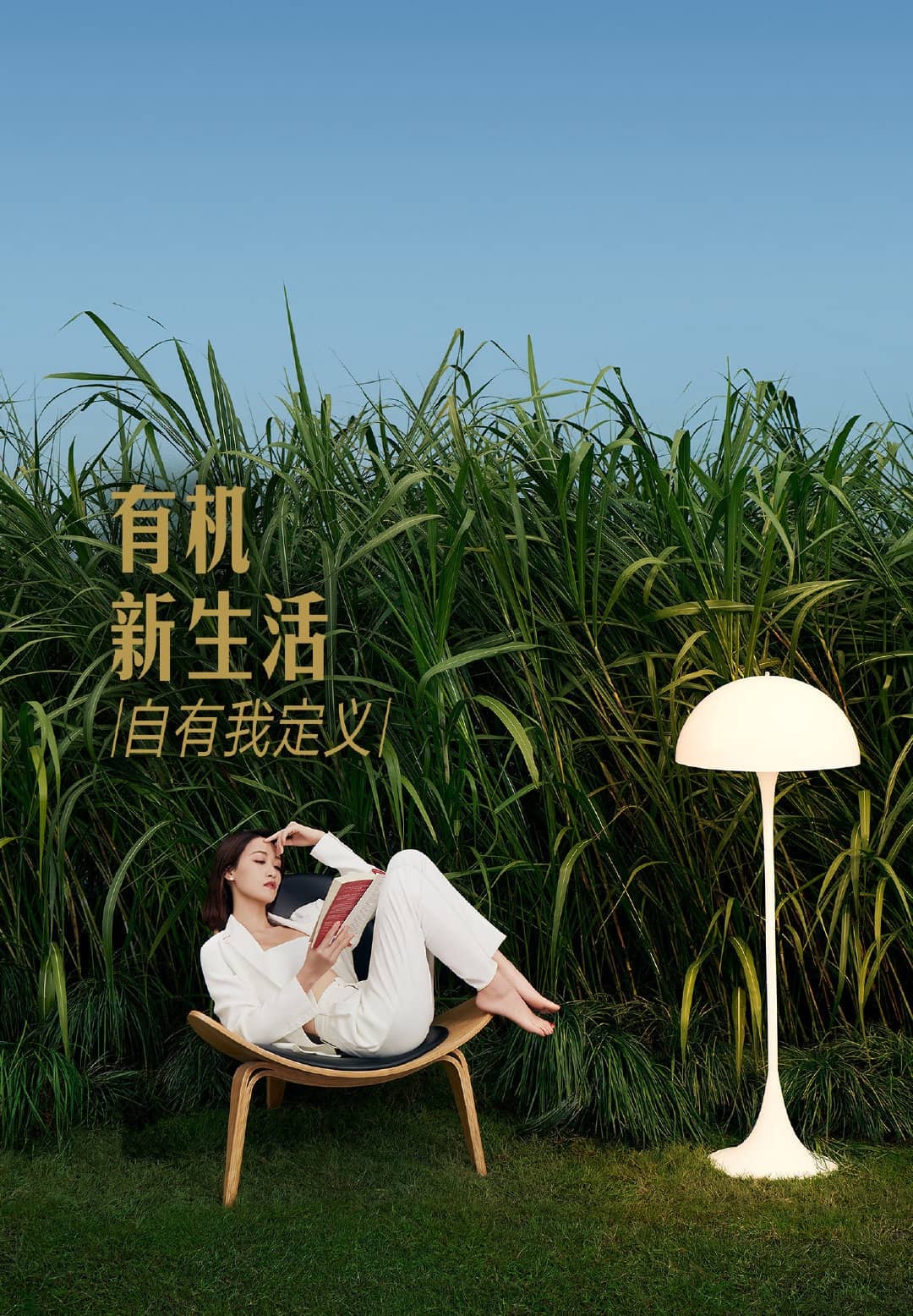 外部图片